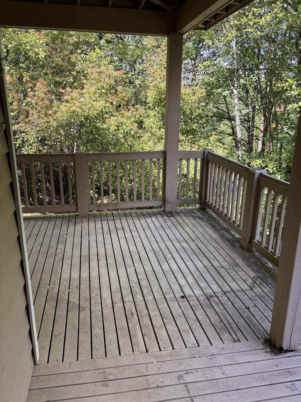 After junk removal cleanup