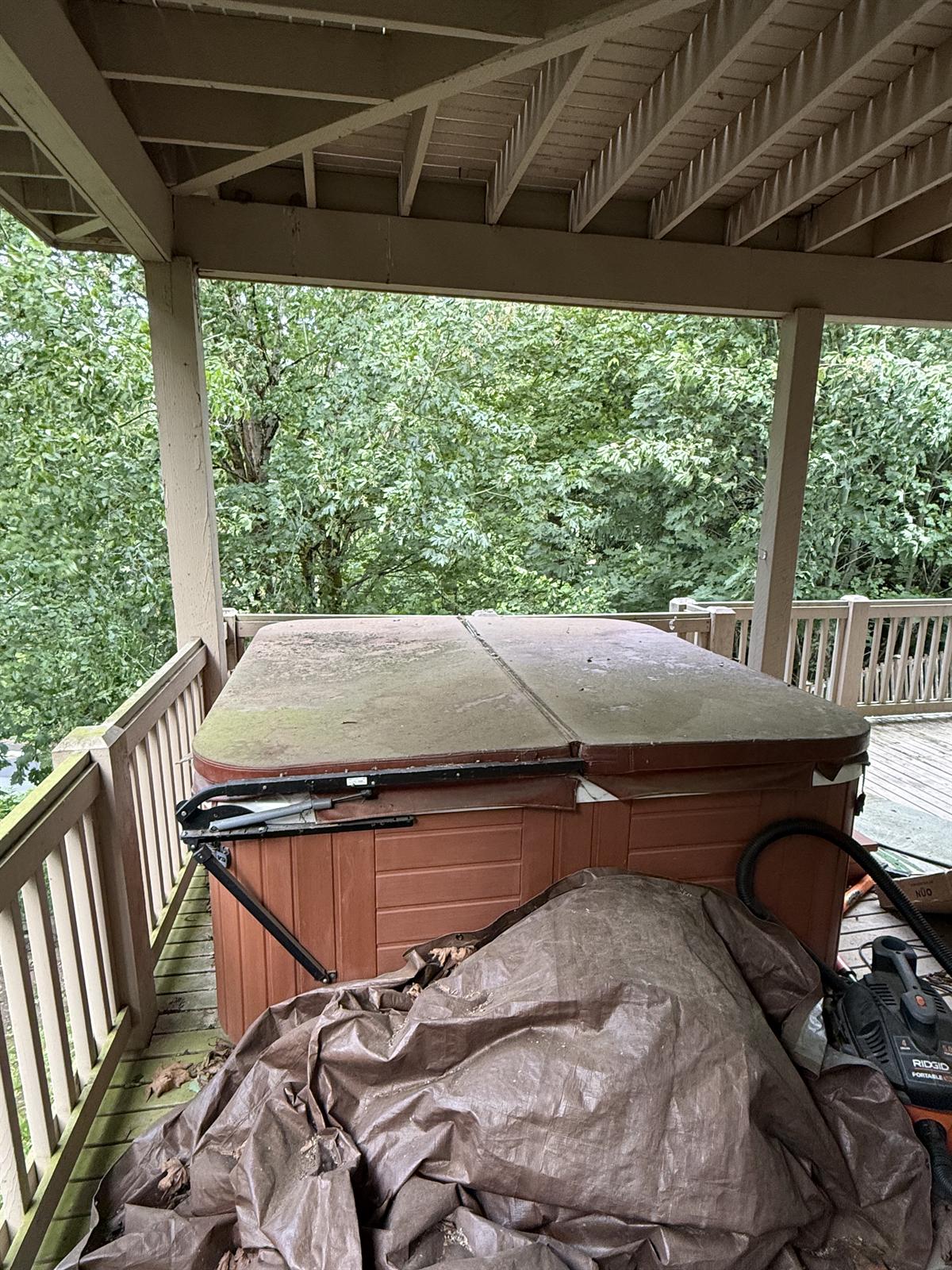 Before junk removal cleanup